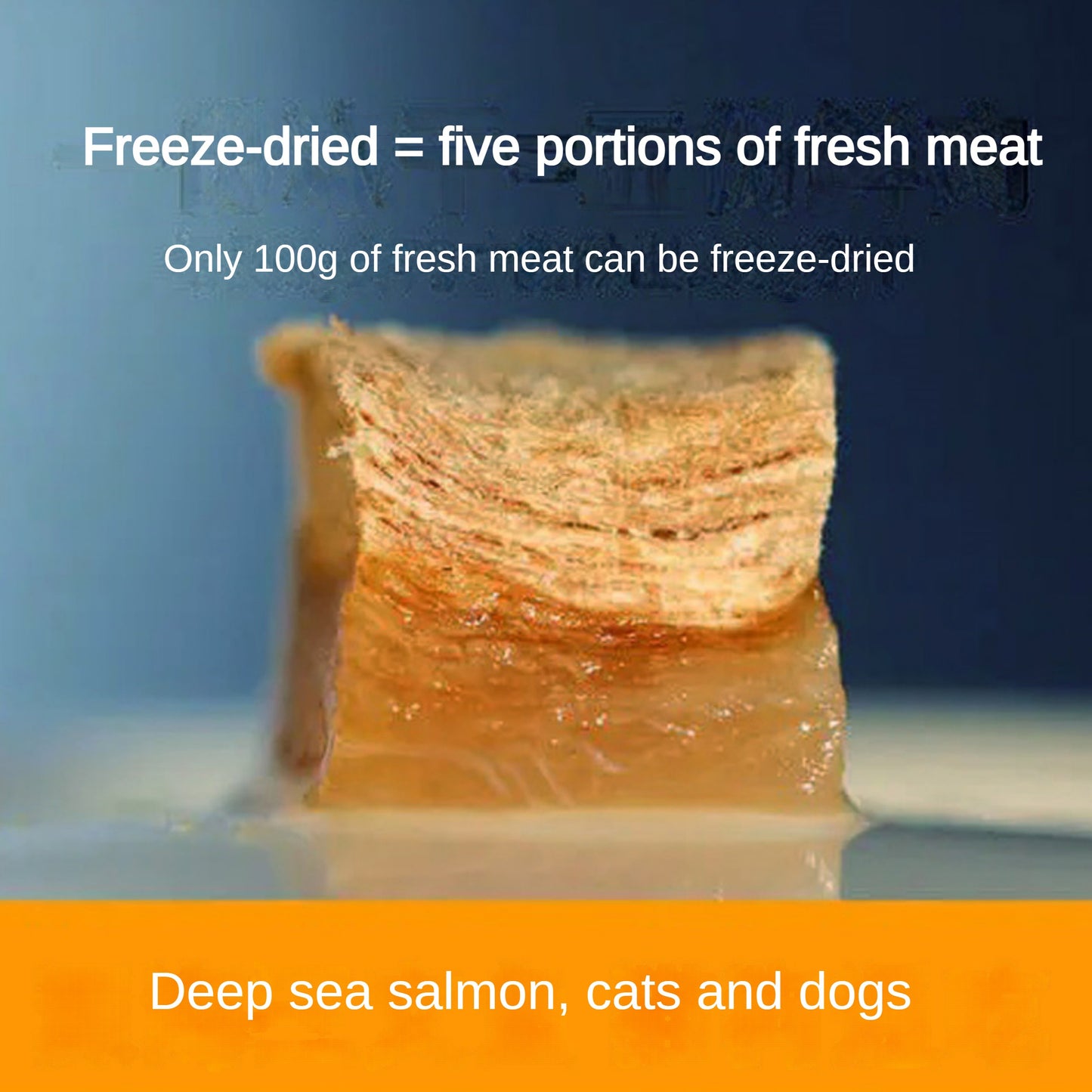 100g/3.5 ozPamily Freeze Dried Pet Treats Salmon Flavor
