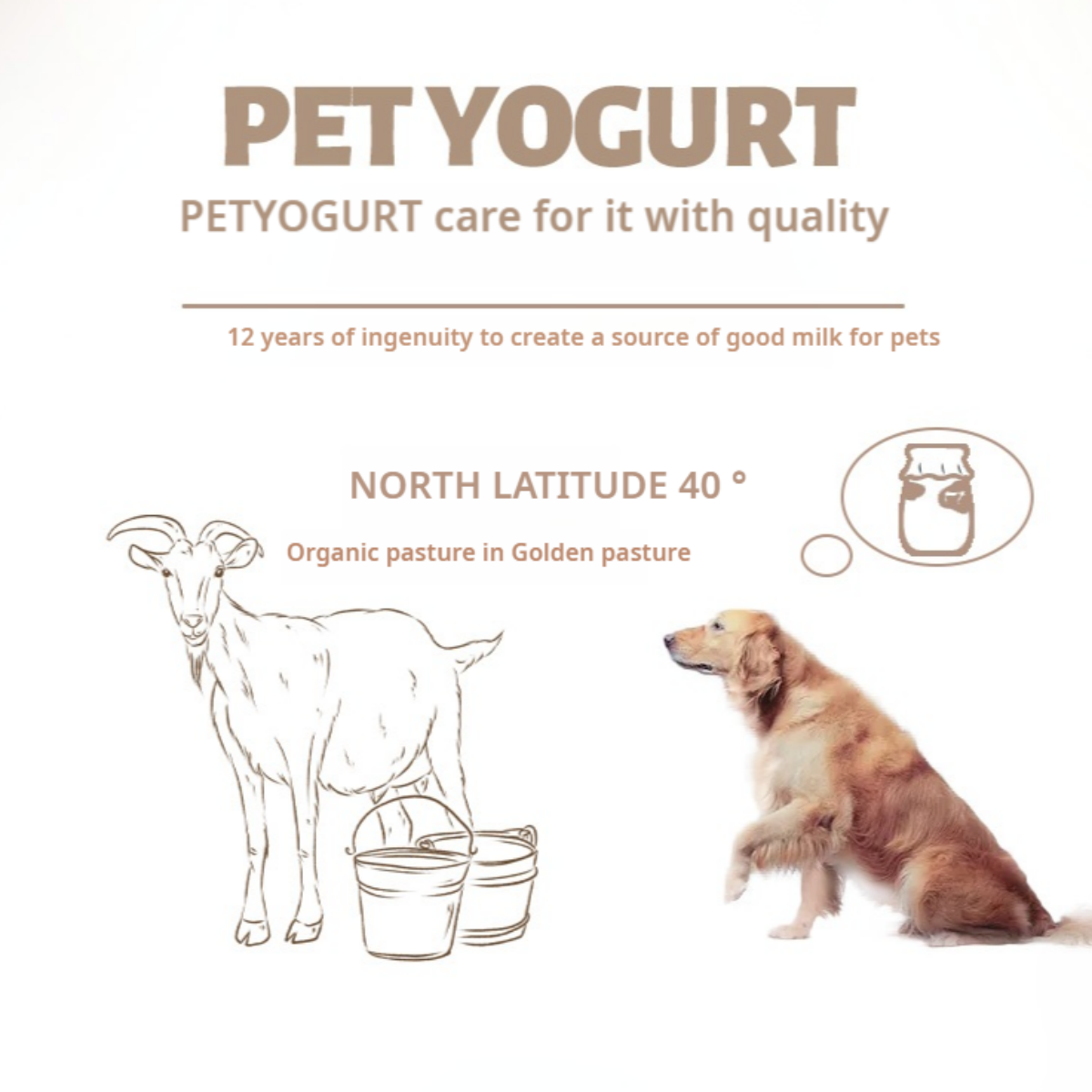 Mengbei sheep milk yogurt dog and cat universal dog treats