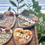 Pet text cookies-For cat and dog 20g